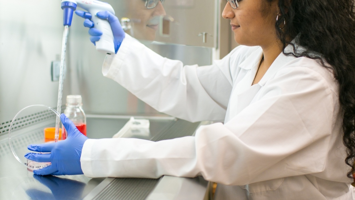 a student works in a lab