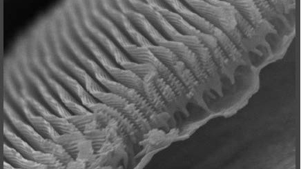 Nanotechnology close up