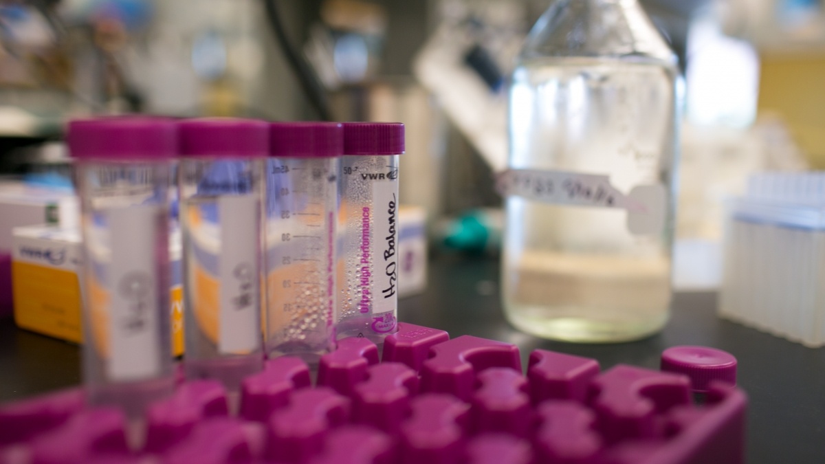 Lab equipment for neurobiology 