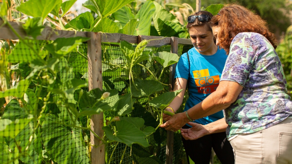 Professor and student picking vegetables in a garden