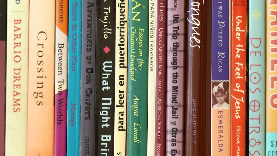 Row of books on the topic of Global Latinx