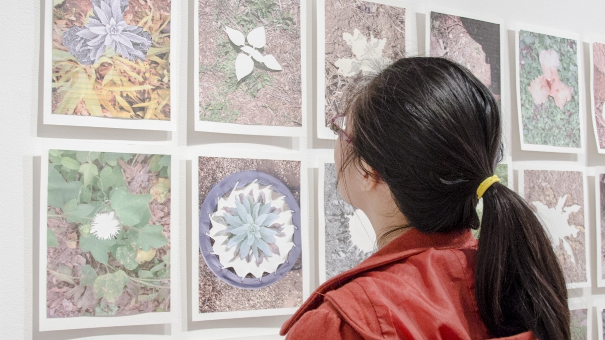 A syringe drops fluid into a beaker