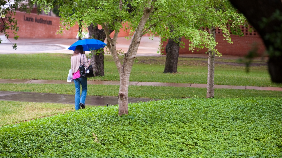 Person walking with umbrella on the campus